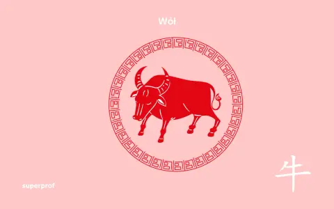 Czerwony wół, symbol 1985 chińskiego znaku zodiaku, na różowym tle. Obok chiński znak "wół".
