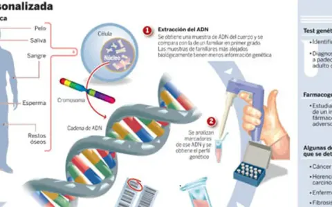 Ilustración explica qué es la genética: extracción de ADN de muestras biológicas, análisis de cromosomas y cadenas de ADN para perfiles genéticos y pruebas.