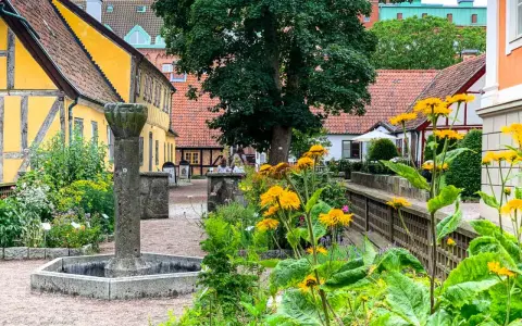 En vacker innergård i Lund utomhus med gula hus, en gammal fontän och blomstrande växter.