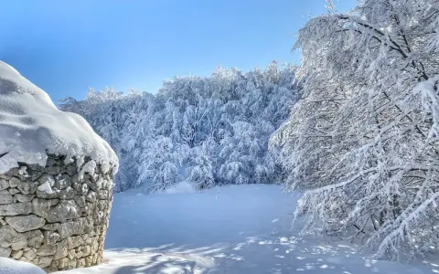 Muro di pietra innevato vicino a un bosco incantato, un vero passo lanciano di bellezza invernale sotto un cielo azzurro.