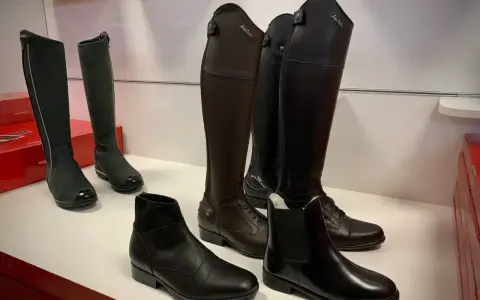 Eleganckie buty do jazdy konnej, znane jako oficerki, prezentowane w różnych stylach i kolorach.