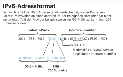 Der IPv6-Aufbau zeigt, wie ein Präfix Subnetze bestimmt. Ein /56-Präfix ermöglicht 256 Subnetze.