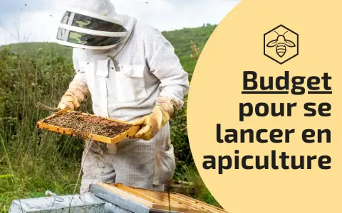Apiculteur en tenue examinant une ruche. Le texte indique "Budget pour se lancer en apiculture", idéal pour ceux qui rêvent d'avoir une ruche chez soi.