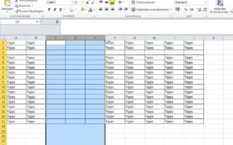 Excel-Tabelle mit vielen Zellen, die "Tipps" enthalten. Ein Bereich ist blau hervorgehoben, was auf eine Auswahl oder Formatierung hindeutet.