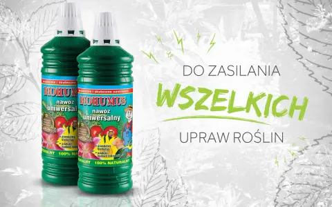 Dwie butelki Biohumusu, uniwersalnego nawozu. Kiedy stosować? Do zasilania wszelkich upraw roślin, 100% naturalny.