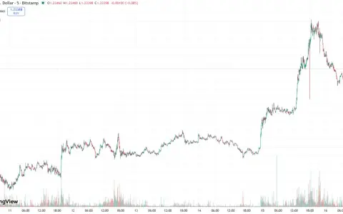 XRP wykres pokazuje gwałtowny wzrost ceny, a następnie stabilizację. Widać wolumen obrotu.