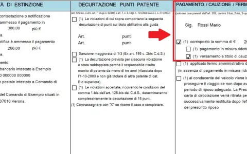 Pagamento di €266,00 per violazione art. 94 CDS, con versamento a titolo di cauzione.