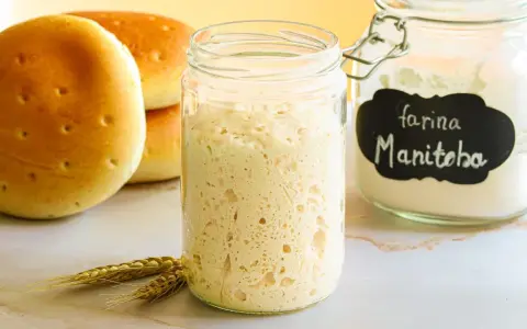 Lievito madre come si fa: un barattolo pieno di pasta madre attiva, accanto a panini dorati e farina Manitoba.