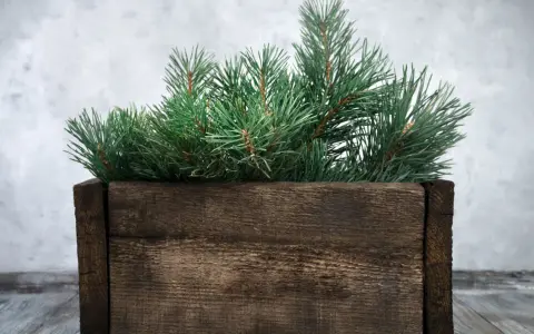 Jak stworzyć piękny stojak na choinkę DIY bez zbędnych kosztów