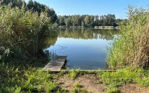 Spokojne jezioro sosno, z drewnianym pomostem i trzcinami po bokach.