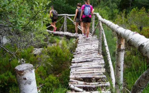 Tres mujeres disfrutan de las rutas senderismo Zamora, cruzando un puente rústico de madera entre vegetación frondosa.