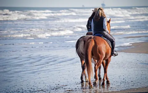 Due persone fanno una passeggiata a cavallo sul mare, con le onde che lambiscono la riva.