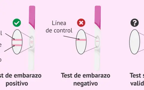 Test de embarazo positivo: dos líneas indican que estoy embarazada. Negativo: una línea. Inválido: sin líneas.
