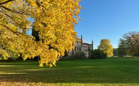 Herbstliche Farben umgeben das Schloss Broock. Ein Baum mit leuchtend gelben Blättern dominiert den Vordergrund, während im Hintergrund das imposante Gebäude vor blauem Himmel steht.