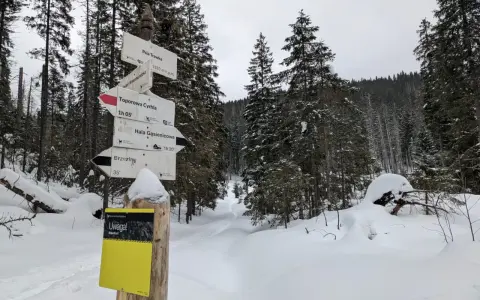 Znak szlaku turystycznego w zimowej scenerii. Wskazuje drogę do Toporowej Cyrhli, Hali Gąsienicowej i Brzezin. Szlak w dolinie suchej wody czeka na turystów.