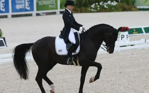 Une cavalière en tenue de **figure de dressage** exécute un mouvement gracieux avec son cheval noir dans une arène.