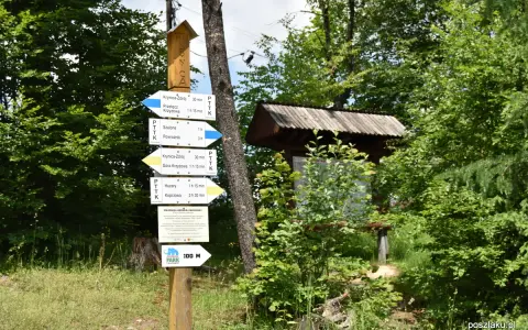 Góra Parkowa Krynica: Czas wejścia, szlaki, kolejka planuj spacer!