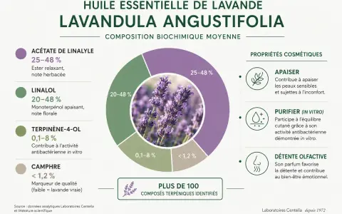 Composition de l'huile essentielle de lavande vraie, ses bienfaits apaisants, purifiants et relaxants. Plus de 100 composés identifiés.