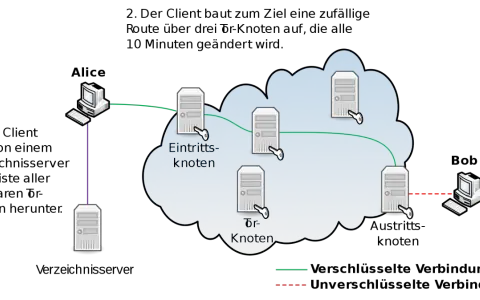 Tor Netzwerk nutzen: Sicher & legal anonym surfen?