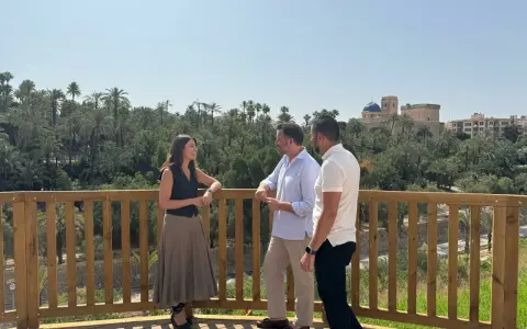 Tres personas conversan en la terraza de la cafetería mirador Elche, con un frondoso palmeral y el casco antiguo de la ciudad al fondo.