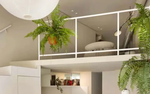 Idee case piccole con soppalco: un angolo lettura accogliente con piante rigogliose e un'atmosfera rilassante.