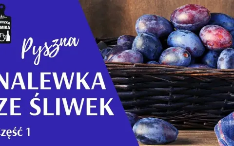 Domowa nalewka ze śliwek: Prosty przepis krok po kroku