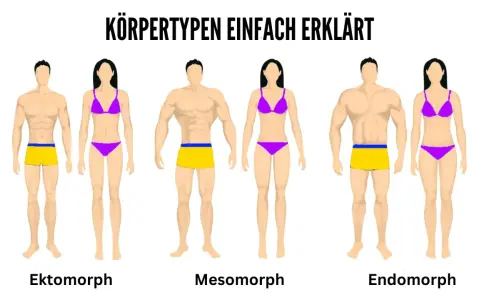 Körpertypen einfach erklärt: Ektomorph, Mesomorph und Endomorph. Die Frau im mittleren Paar ist ein Mesomorph, mit athletischem Körperbau.