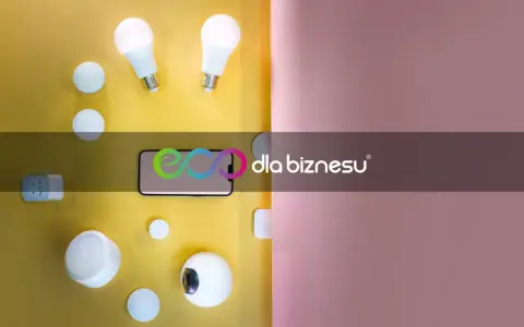 Inteligentne żarówki, głośnik, wtyczka i telefon – składnik zmienny stawki sieciowej dla biznesu.