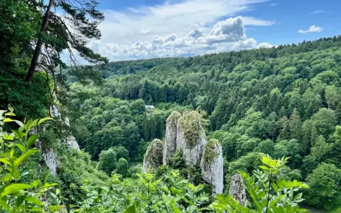 Wąwóz z wapiennymi ostańcami i bujną zielenią. Czy to jeden z 23 parków narodowych w Polsce?