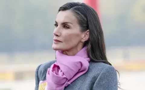 Mujer con elegante abrigo gris y bufanda rosa, su pelo sal y pimienta cae sobre sus hombros.