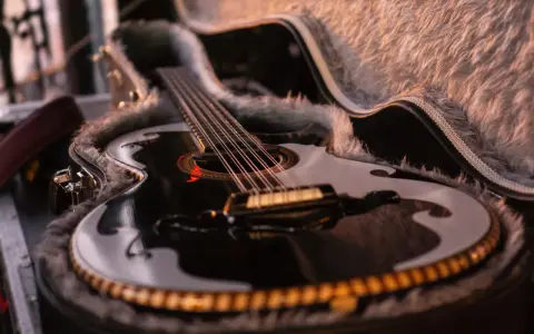 Schwarze Gitarre mit Fell ausgekleidetem Koffer.