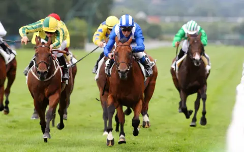 Des jockeys colorés en pleine course, un moment intense de la filière turf.