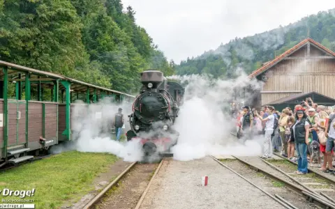 Parowóz z wagonami na tle lasu, tłum ludzi czeka na przejażdżkę. Bieszczady atrakcje dla dzieci to podróż w czasie!