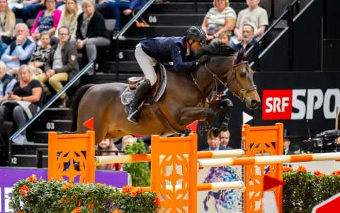 Un cavalier et son cheval, un donatello d'auge, franchissent un obstacle. Le public est en arrière-plan.