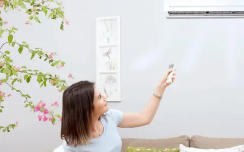 Mujer ajusta el fan speed del aire acondicionado con el control remoto, rodeada de una planta con flores rosas.