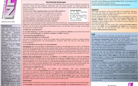 Erste Hilfe bei einem **unfall pferd**: Stark blutende Verletzungen erfordern schnelles Handeln. Hier Tipps zur Blutstillung und Wundversorgung.