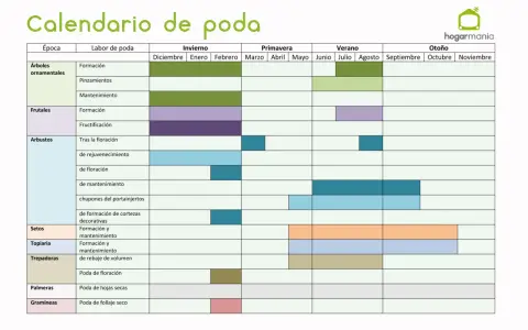 Calendario de poda: guía visual para saber cuándo podar árboles ornamentales, frutales, arbustos, setos, topiaria, trepadoras, palmeras y gramíneas.