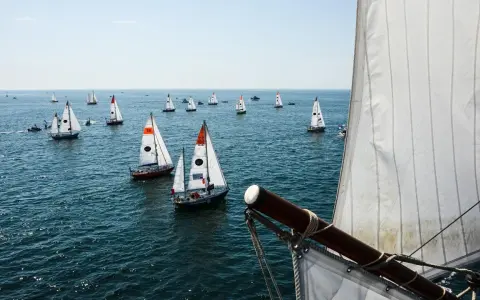 Viele Segelboote auf dem Meer, ein Teil der Segel im Vordergrund. Ein spannender Moment der Golden Globe Race.