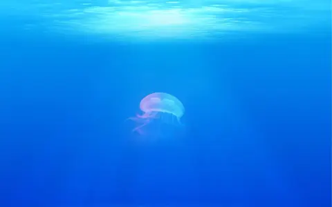 Una medusa trasparente fluttua nelle acque blu della Sardegna, illuminata dalla luce solare che filtra dall'alto.