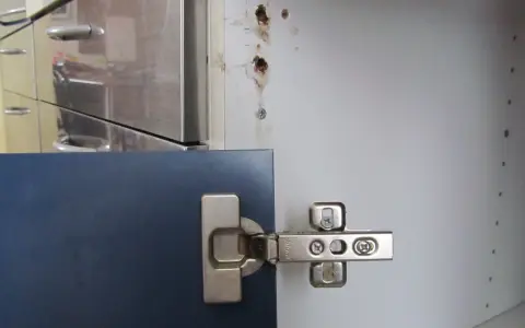 Cerniera di un mobile blu fissata con viti. Vicino, un foro nel legno indica come avvitare una vite che gira a vuoto nel legno.