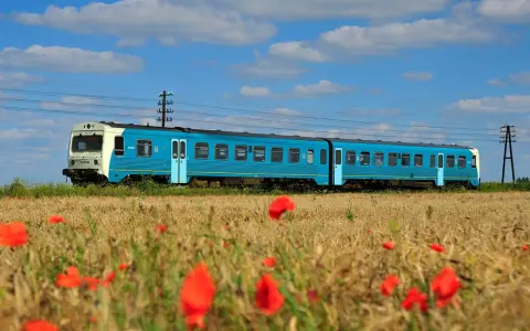 Błękitny pociąg Arriva jedzie przez pole dojrzałego zboża, a na pierwszym planie kwitną czerwone maki.