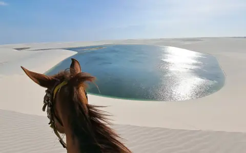 Pferd blickt auf eine glitzernde Lagune in den Lençóis Maranhenses. Sanddünen erstrecken sich bis zum Horizont.
