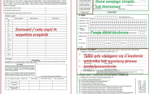 Wniosek o wydanie prawa jazdy po zatrzymaniu na 3 lata. Formularz zawiera dane urzędu, wnioskodawcy i informacje o wydanych dokumentach.