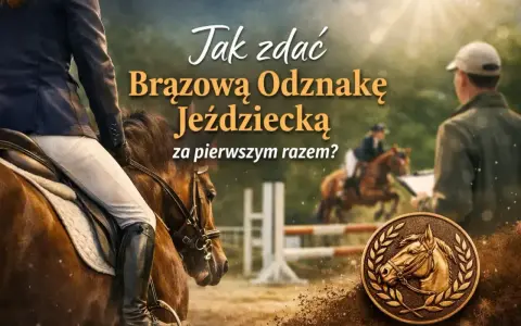 Brązowa odznaka jeździecka z wizerunkiem konia w wieńcu laurowym. W tle jeźdźcy i przeszkody.