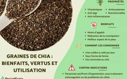 Graines de chia : leurs nombreux bienfaits pour la santé, comme la réduction de l'appétit et l'amélioration de la peau.