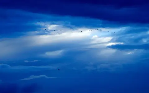 Dlaczego niebo jest niebieskie? Książki dla dzieci, które to wyjaśnią!