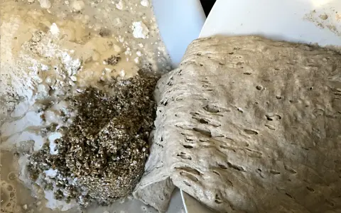 En närbild på surdeg som skiktar sig med bubblor och korn. En del av degen har en slätare yta, medan en annan del är mer kornig och blandad med mjöl och vatten.