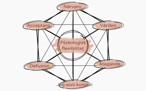 Diagram som visar psykologisk flexibilitet med komponenter som närvaro, acceptans, värden, åtagande, jag som kontext och defusion. Dessa visar vad ACT betyder i praktiken.
