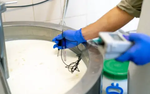 Persona con guantes azules mide la temperatura de la leche en un tanque, un paso clave para entender qué significa pasteurizado y garantizar la seguridad alimentaria.