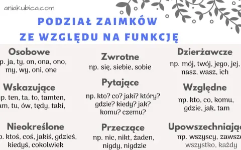 Podział zaimków ze względu na funkcję: osobowe, zwrotne, pytające, wskazujące, nieokreślone, przeczące, dzierżawcze, względne, upowszechniające.